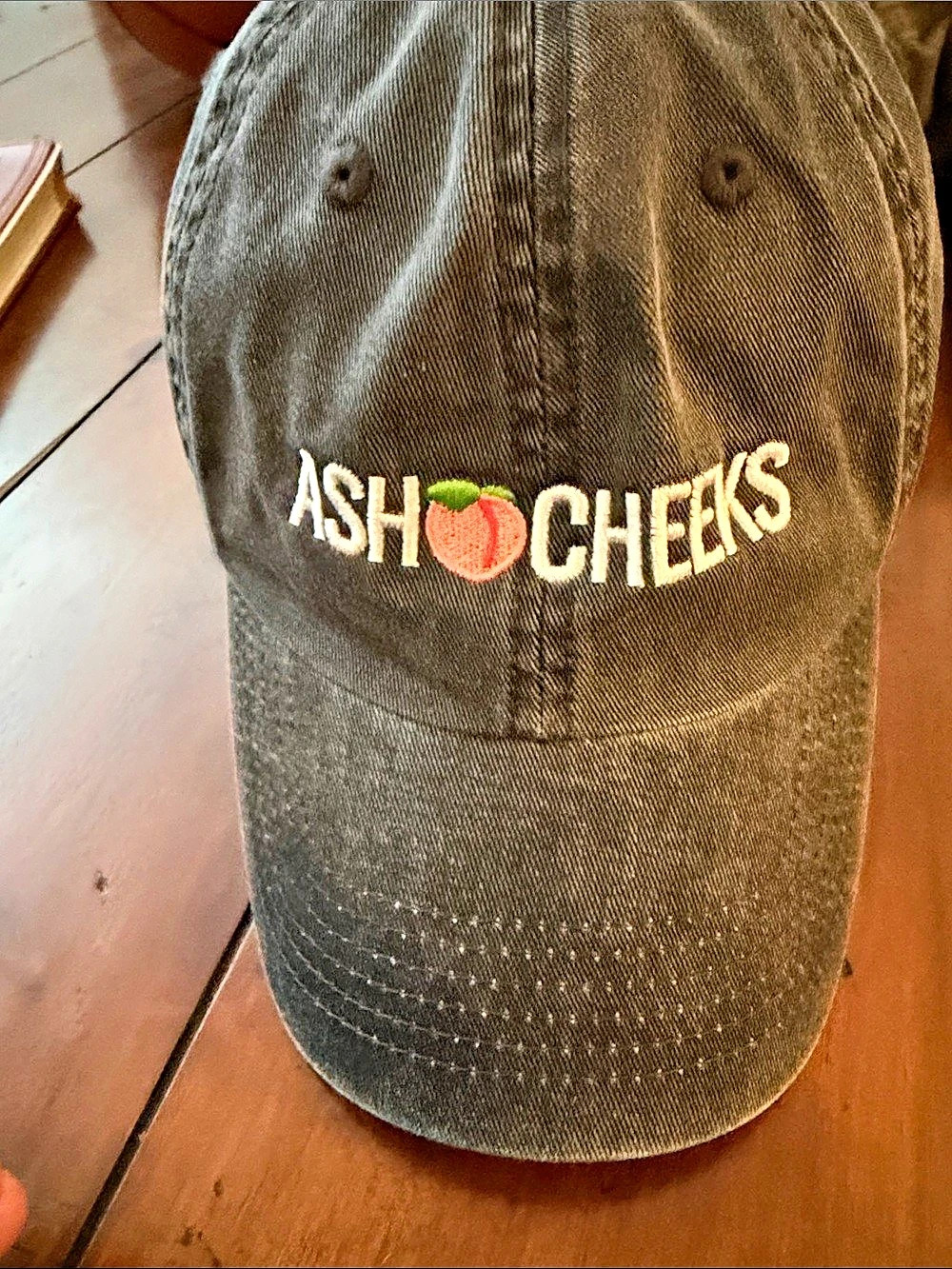 Embroidered Baseball Cap in Gray